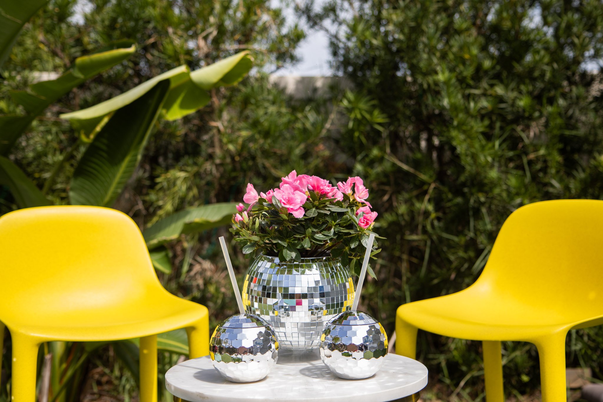 1702156733 237 سلام باربی، دیسکو باربی