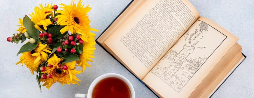10 بهترین ایده برای هدیه روز زن 9 Novel