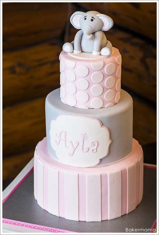 کیک تولد فیل باکرماما |  TheCakeBlog.com