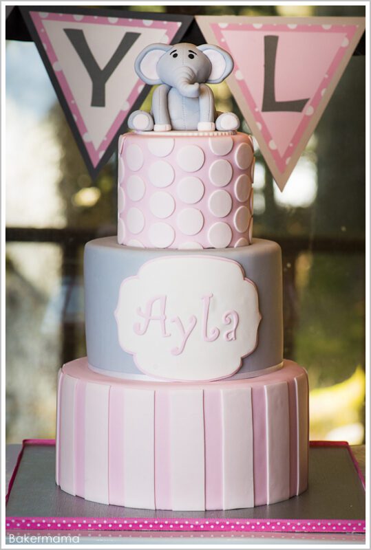 کیک تولد فیل باکرماما |  TheCakeBlog.com