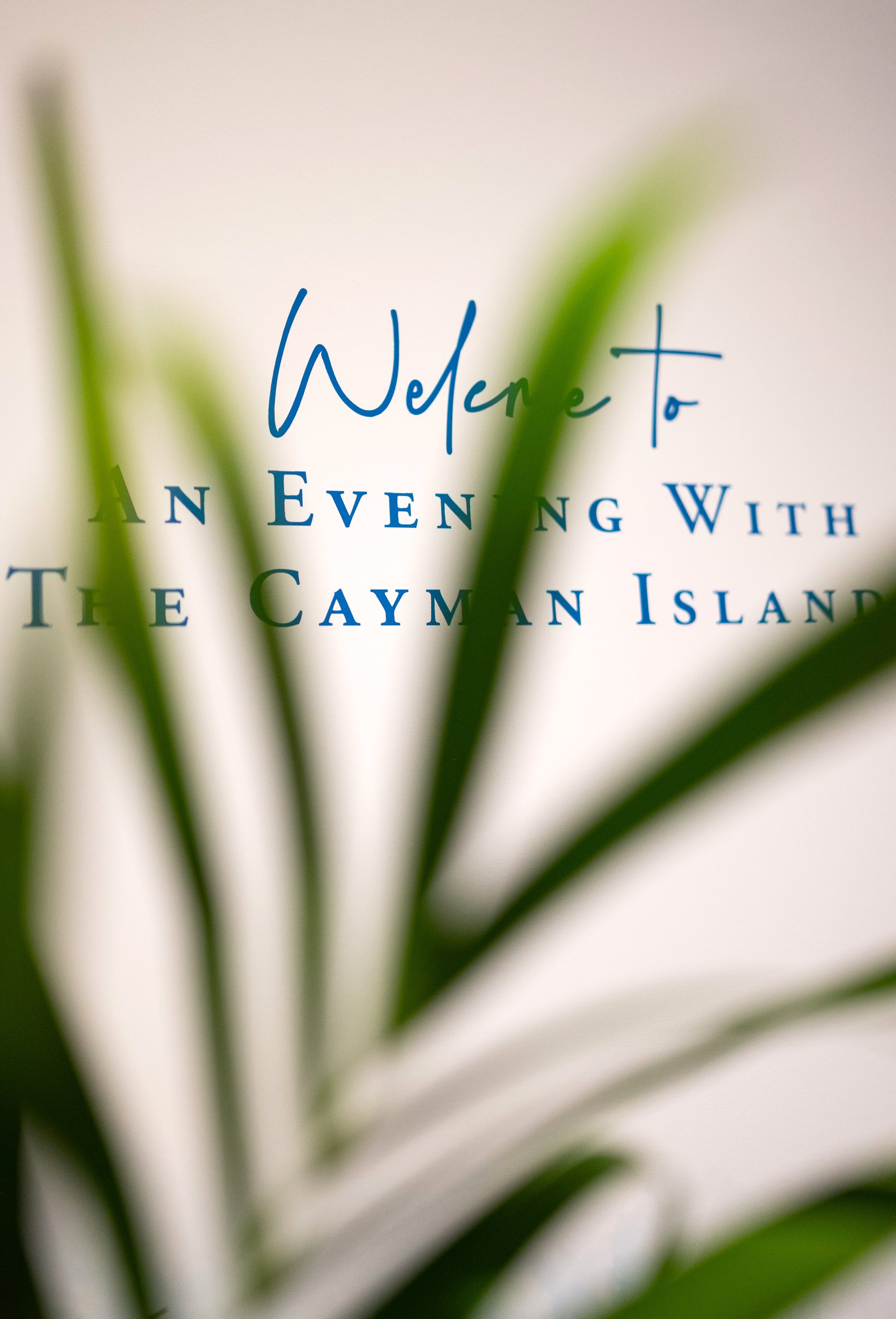 رویا در کیمن