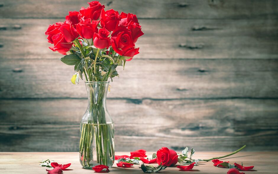 بدانید که گل ها چگونه می توانند احساس خاص بودن را در آنها ایجاد کنند 2 Know how flowers can make them feel special