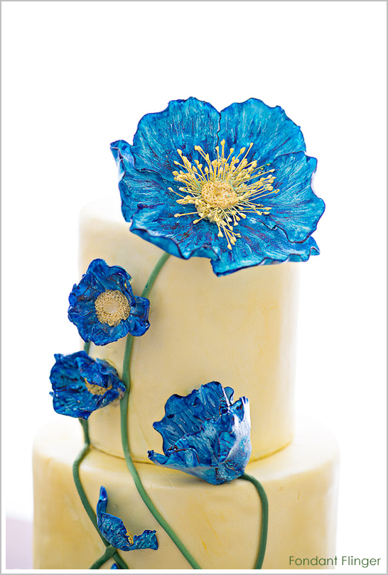 کیک گل خشخاش آبی