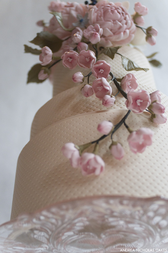 کیک گل شکری رژگونه از آندریا نیکلاس |  TheCakeBlog.com