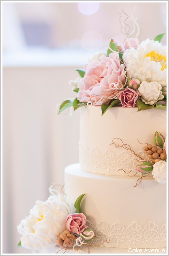 گل رز و گل صد تومانی دیوید آستین