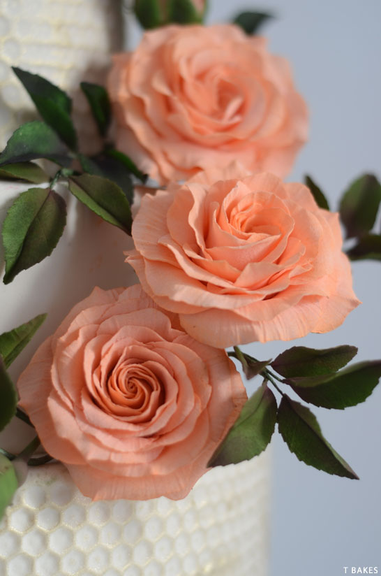 کیک لانه زنبوری طلایی |  توسط تی بیکس |  در TheCakeBlog.com