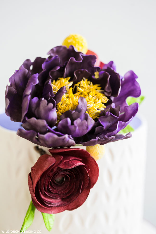 کیک آب و هوا ژاکت |  توسط ارین گاردنر برای TheCakeBlog.com