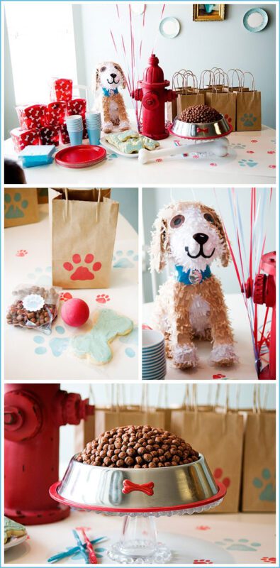 جشن تولد توله سگ قرمز و آبی