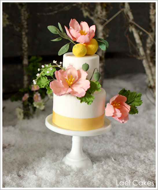 کیک های عروسی زمستانی برفی