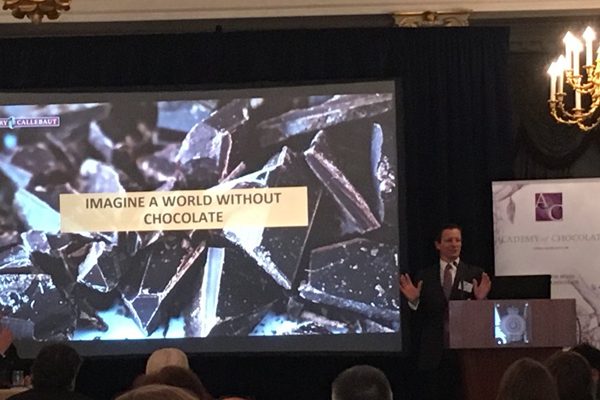 حمایت از کشورهای کلیدی تولید کننده کاکائو همچنان از اهمیت حیاتی برخوردار است