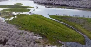 اولام روز جهانی محیط زیست را با اقداماتی برای بهبود عملکرد خود جشن می گیرد 1 almonds 3