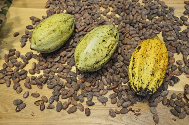 لوازم جدید کاکائو