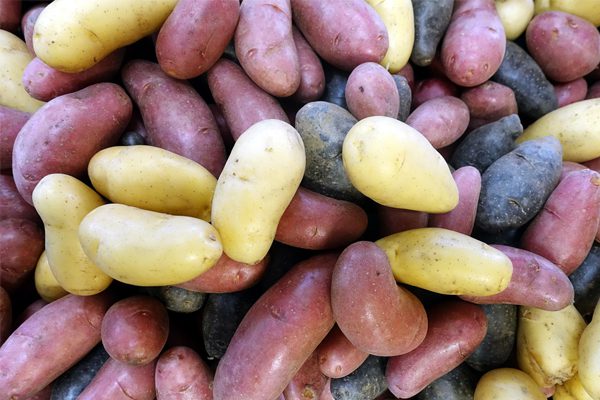 هر کوچکی برای محیط زیست مهم است