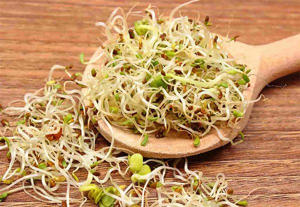 آیا مصرف جوانه گندم عوارض جانبی هم دارد؟