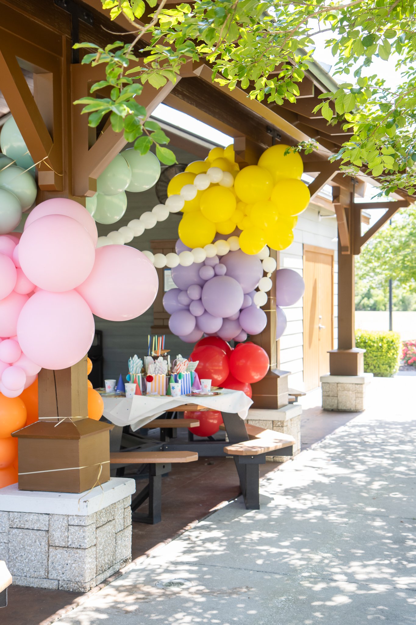 مهمانی در پارک 2 IMG_3873.jpg