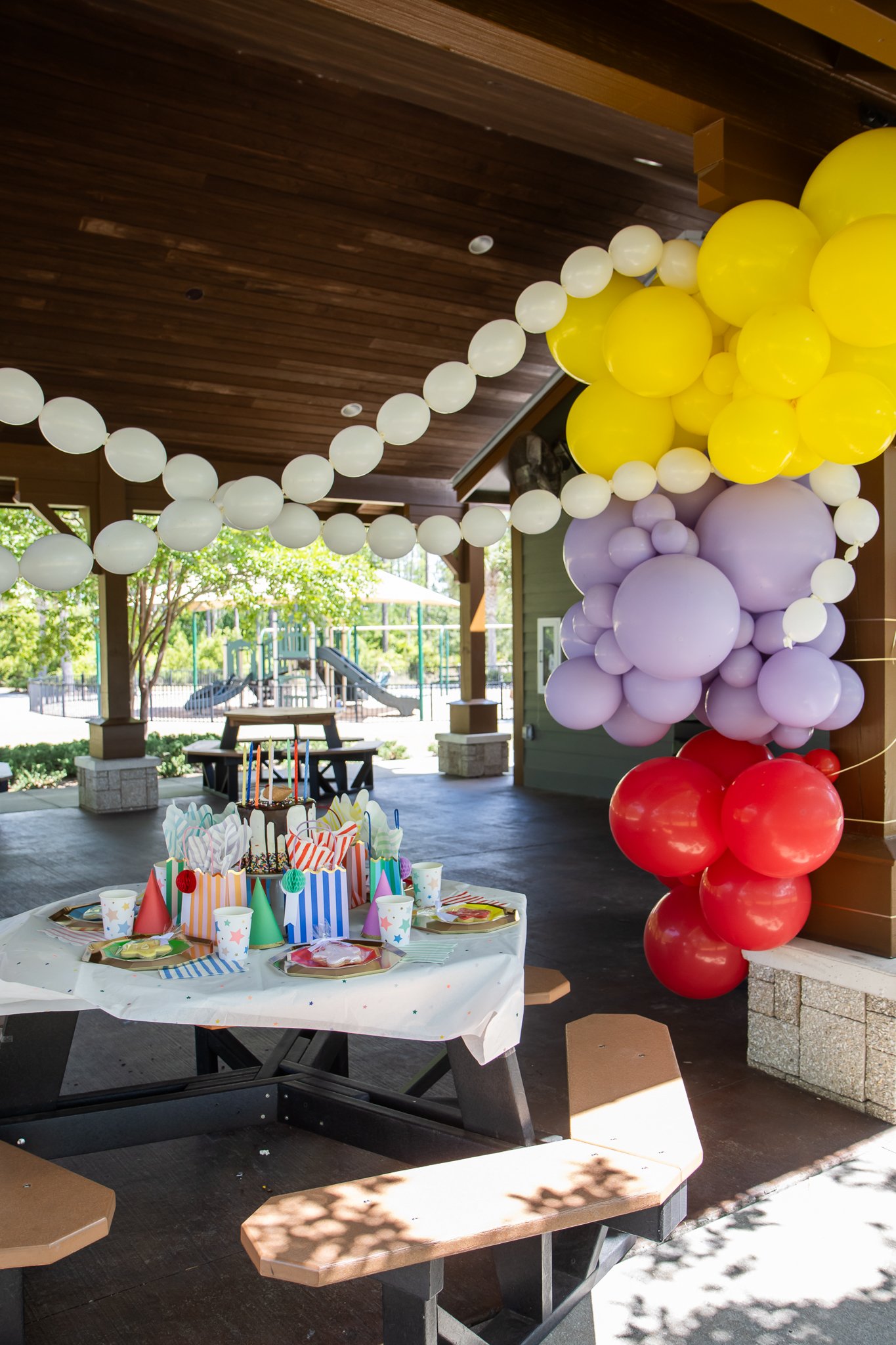 مهمانی در پارک 6 IMG_3866.jpg