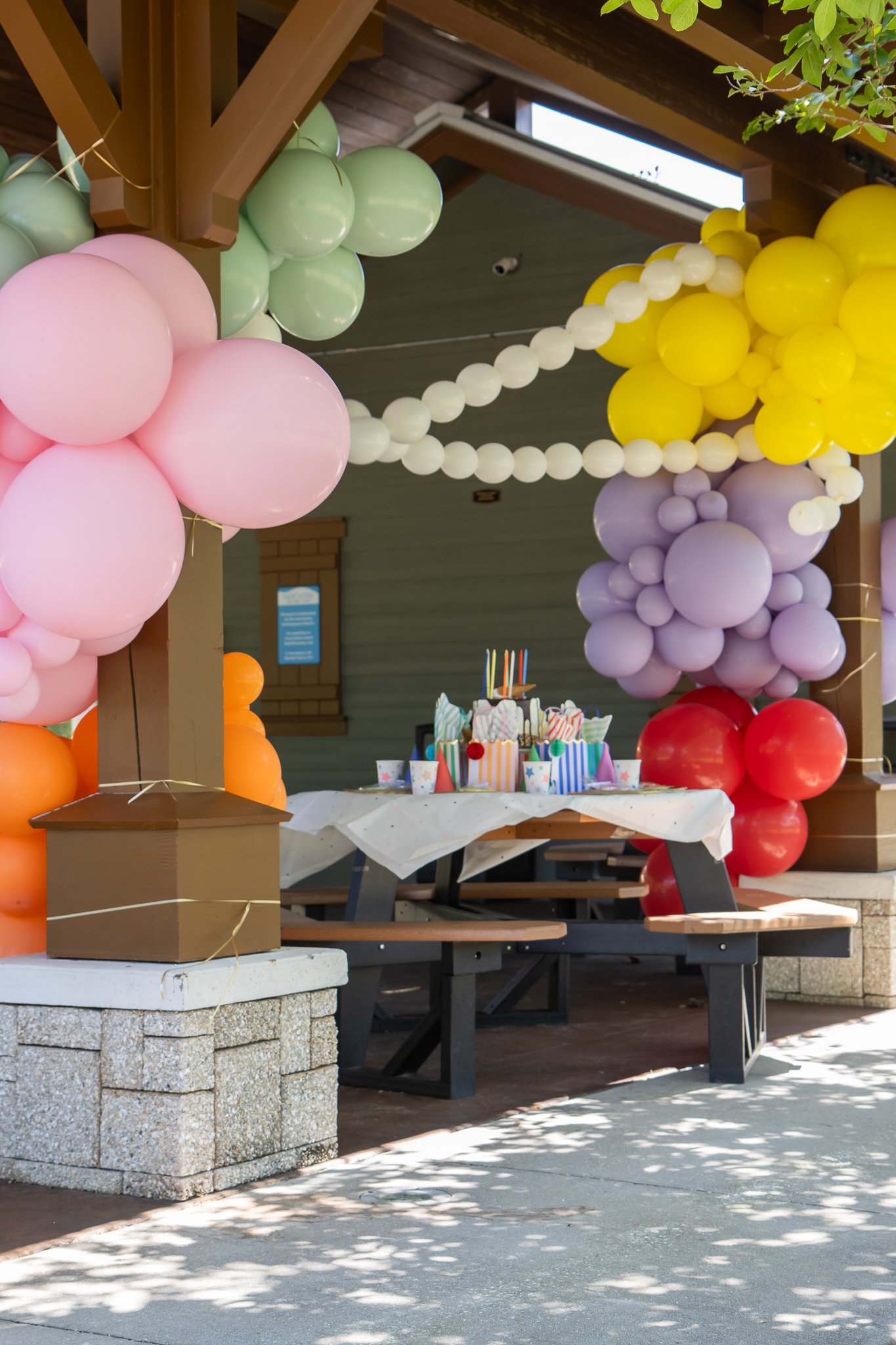 مهمانی در پارک 8 IMG_3875.jpg