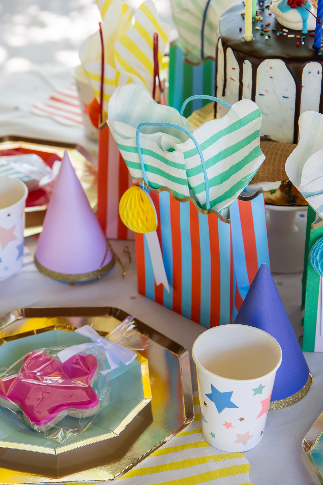 مهمانی در پارک 12 1723990691 299 مهمانی در پارک