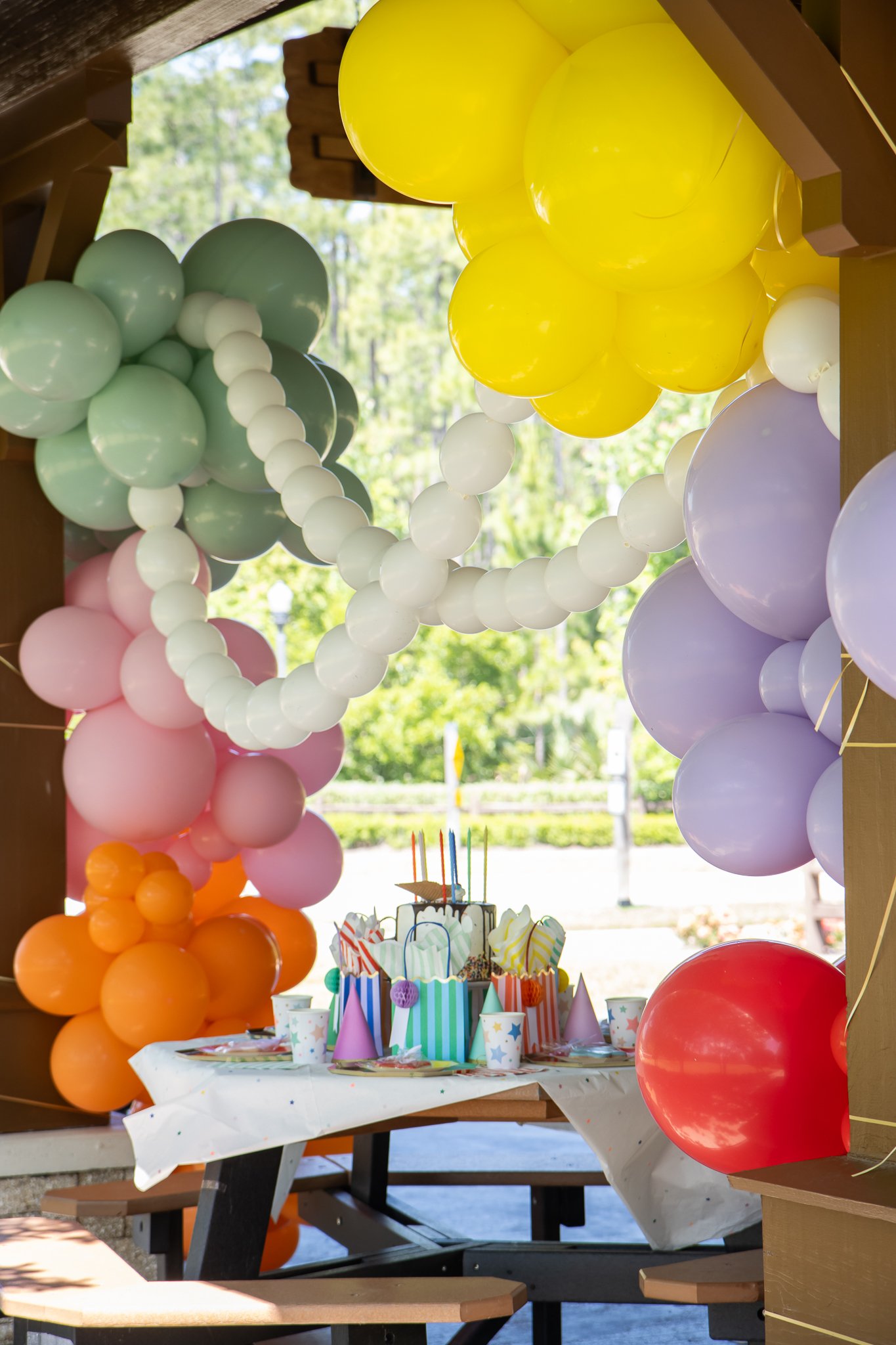 مهمانی در پارک 16 IMG_3882.jpg