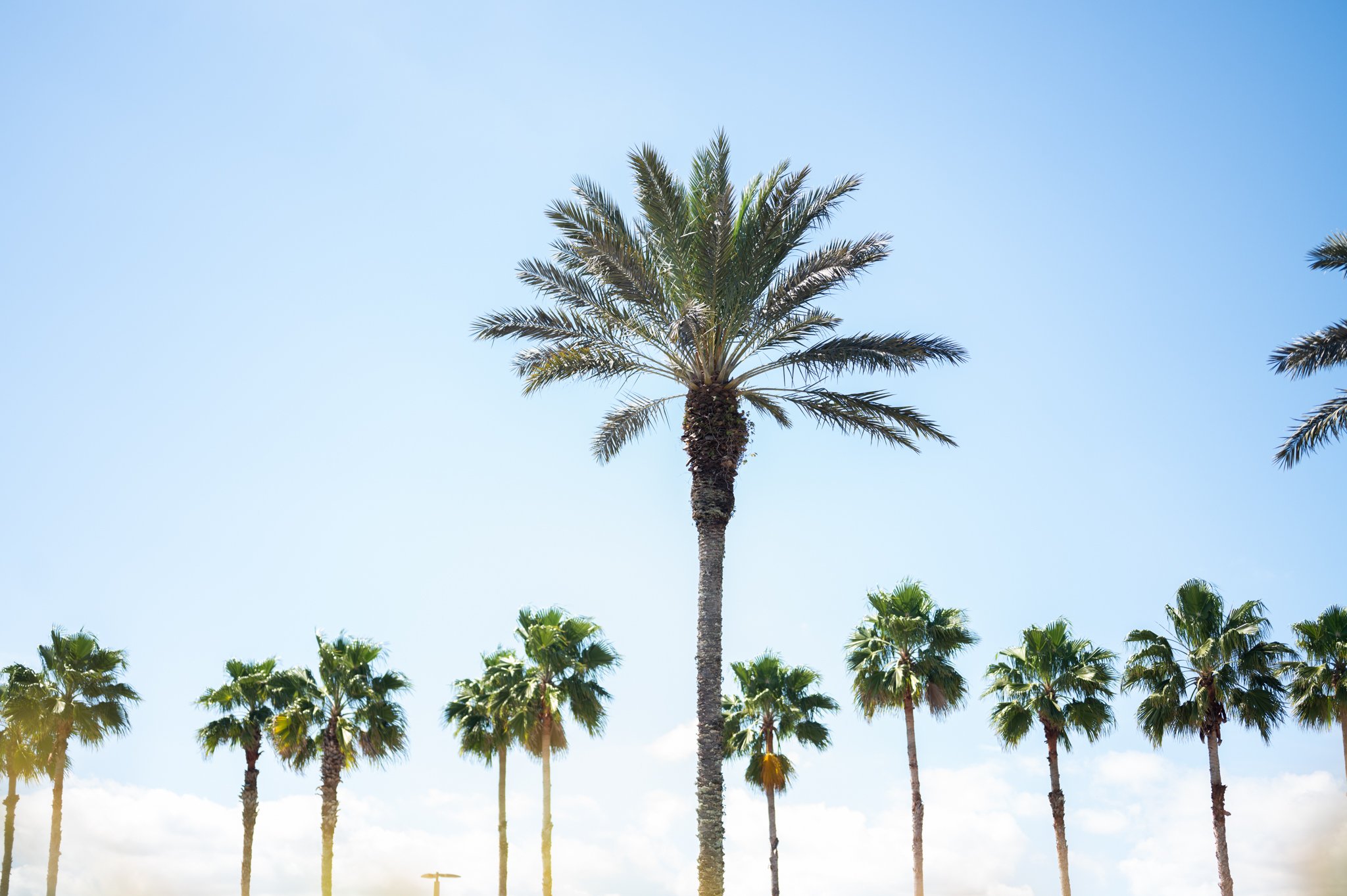 جامعه اجتماعی 7 1723994469 554 جامعه اجتماعی