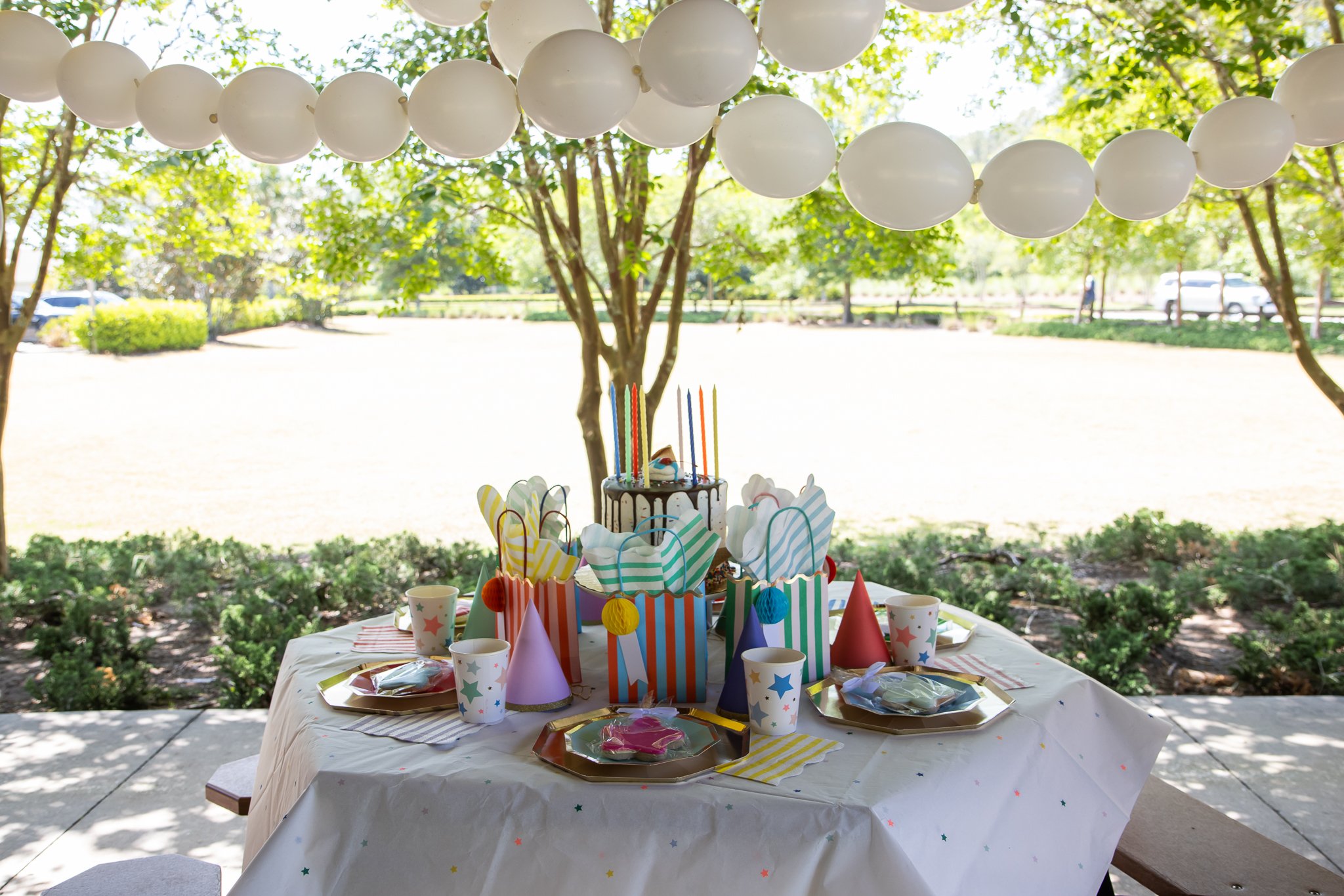 مهمانی در پارک 1 مهمانی در پارک