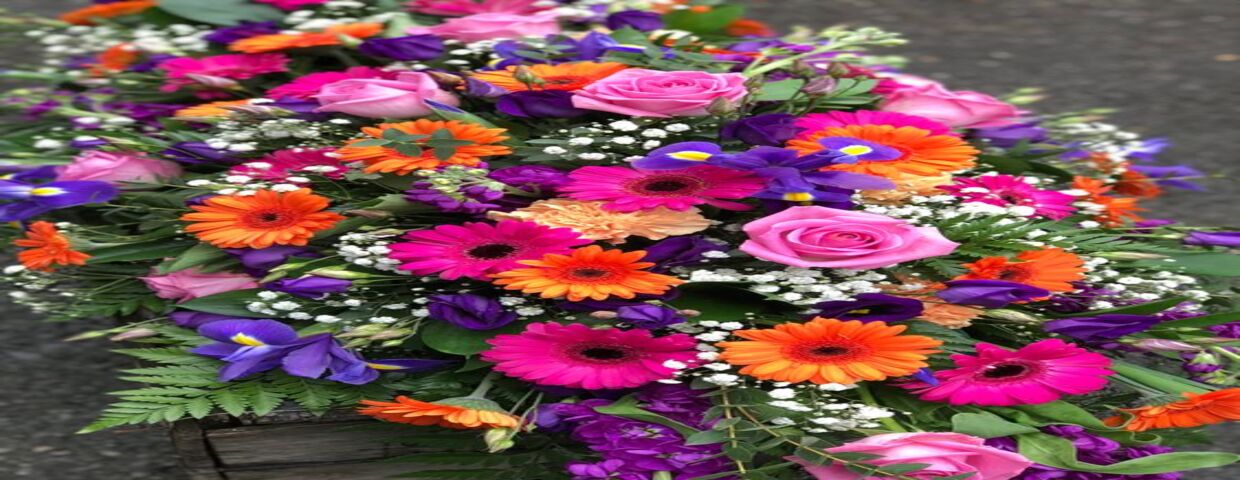 af29227e 72d7 49f1 8b67 618b8af83260