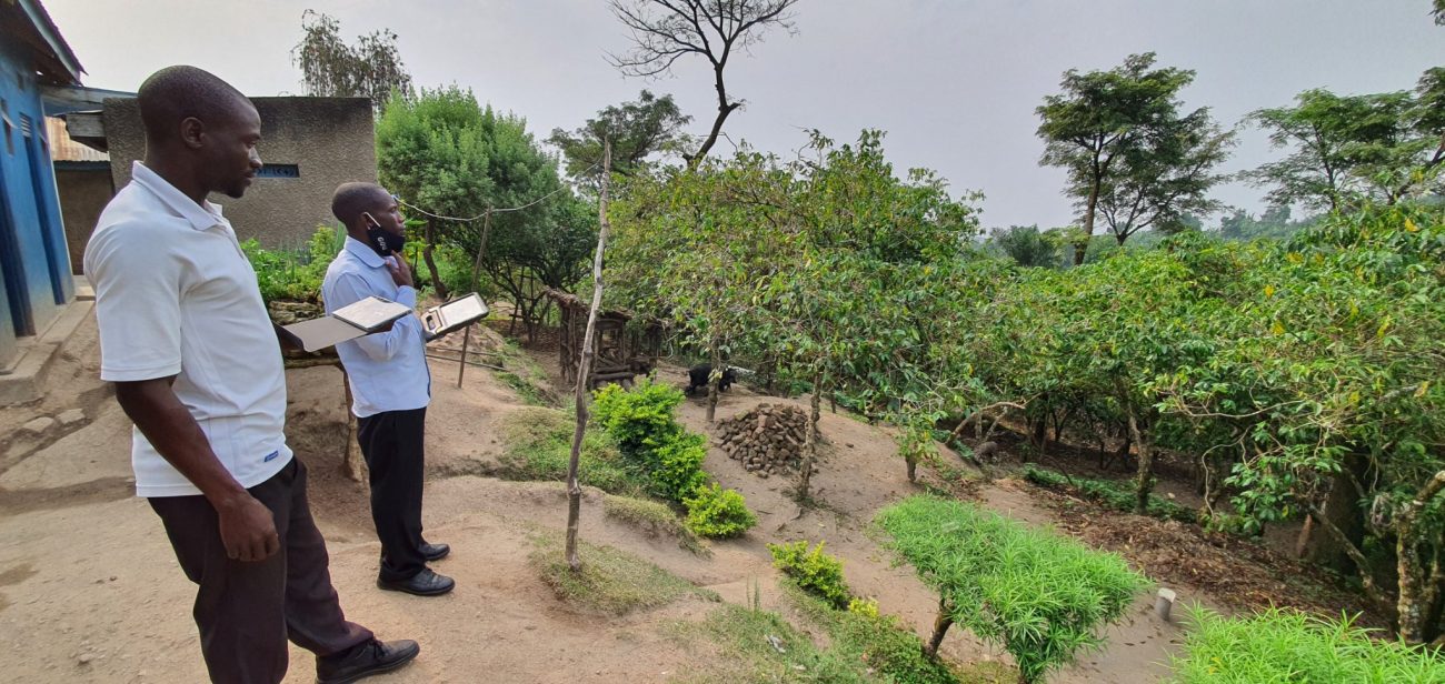 وبلاگ مهمان: بررسی پویایی زنجیره تامین جهانی کاکائو