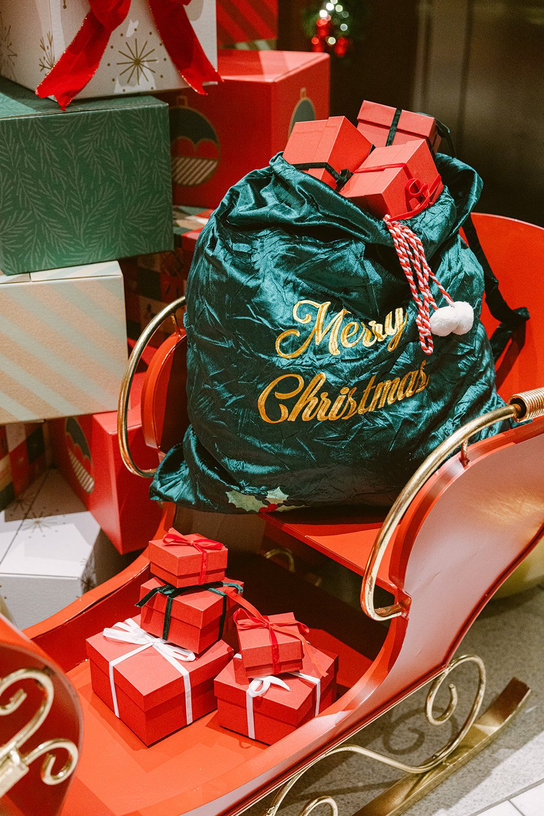 شادی به دنیای شما 6 1734551291 653 شادی به دنیای شما