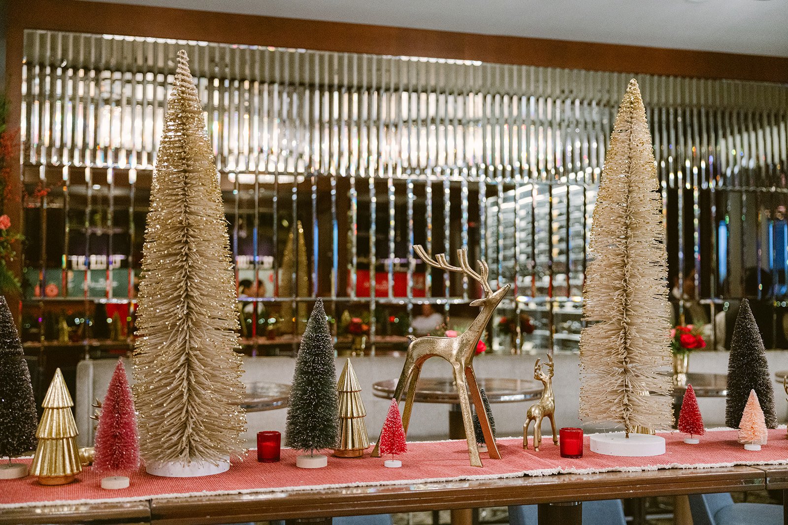 شادی به دنیای شما 9 1734551292 853 شادی به دنیای شما