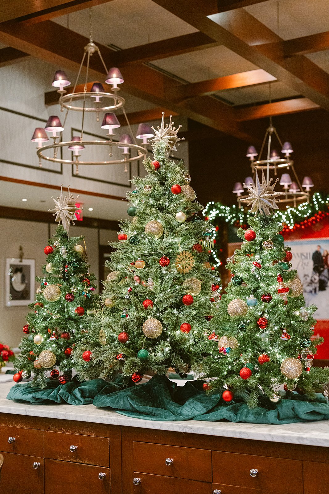 شادی به دنیای شما 11 1734551293 177 شادی به دنیای شما