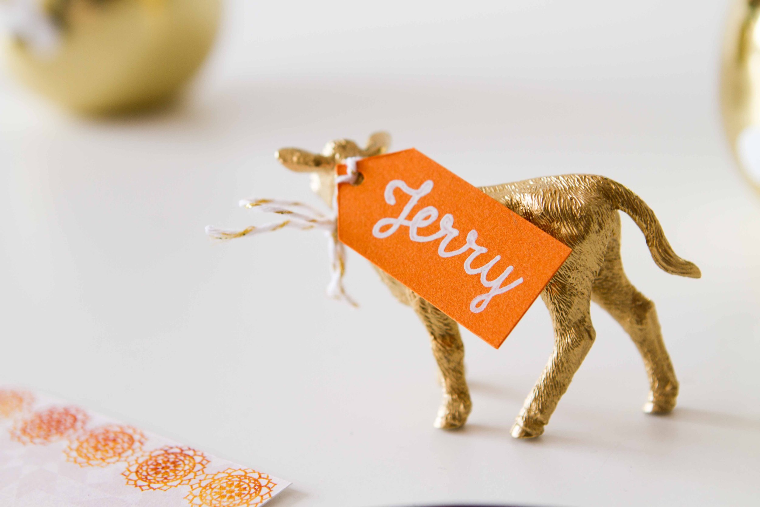 همه چیز در جزئیات است 4 _MG_3329.jpg