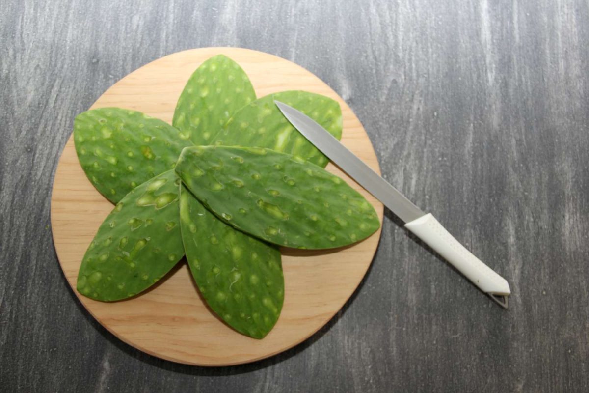 Fresh raw green nopales without bones ready to cook Mexican food