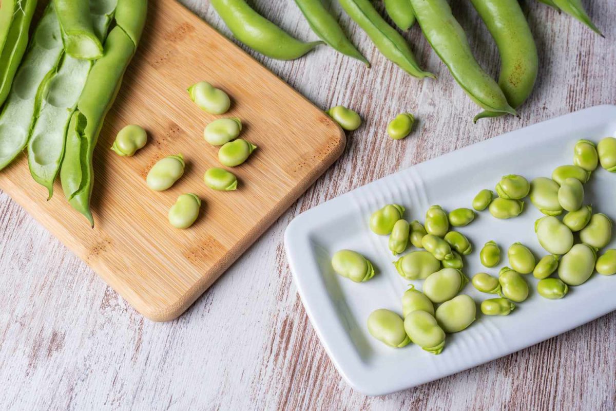 peeling raw fava beans