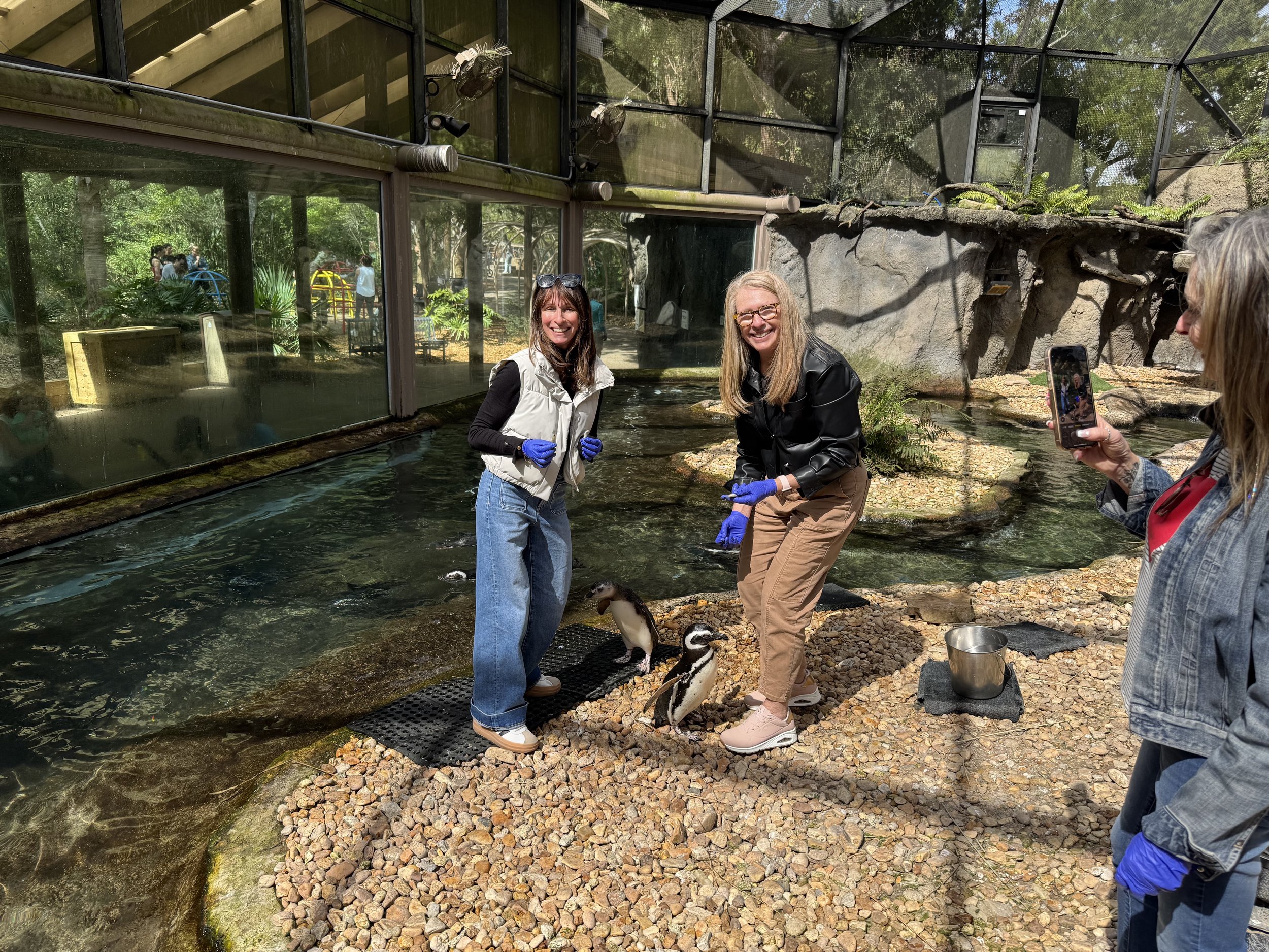 1742740996 550 باغ وحش جکسونویل چقدر خاص است