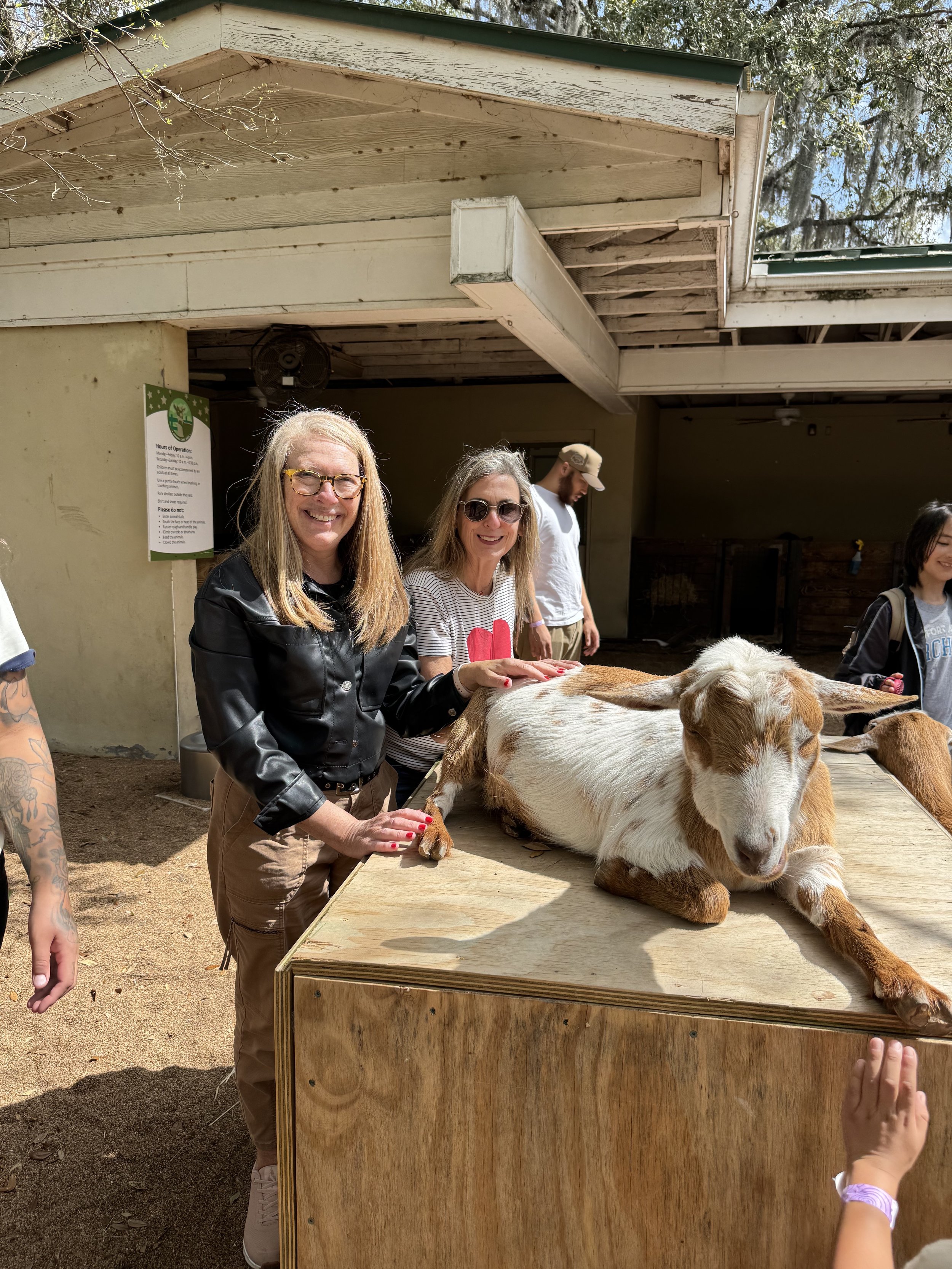 1742740997 616 باغ وحش جکسونویل چقدر خاص است