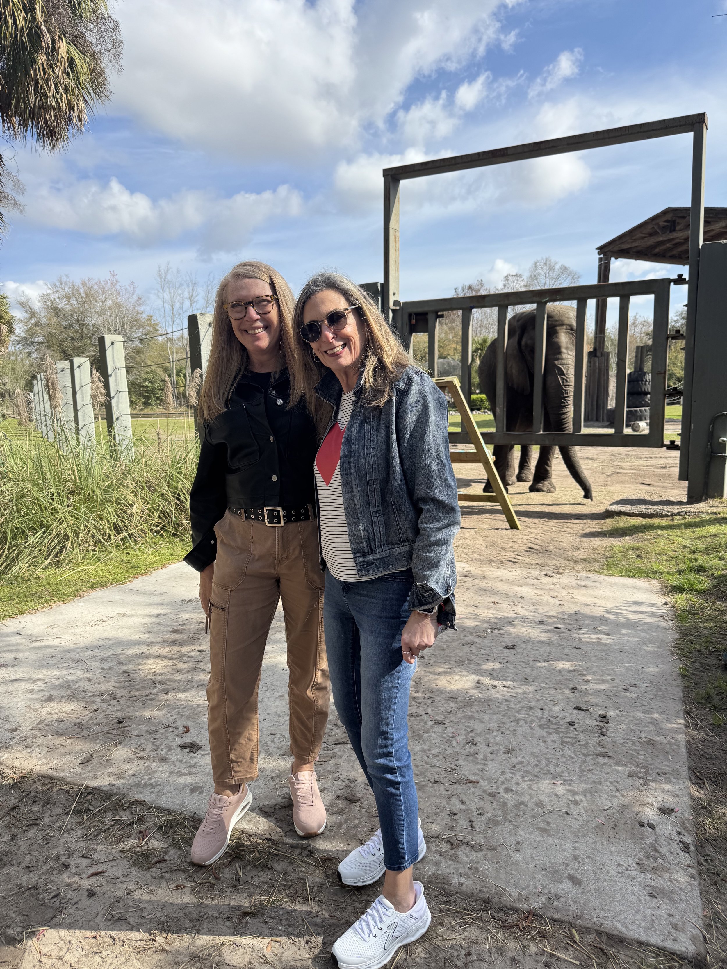 باغ وحش جکسونویل چقدر خاص است