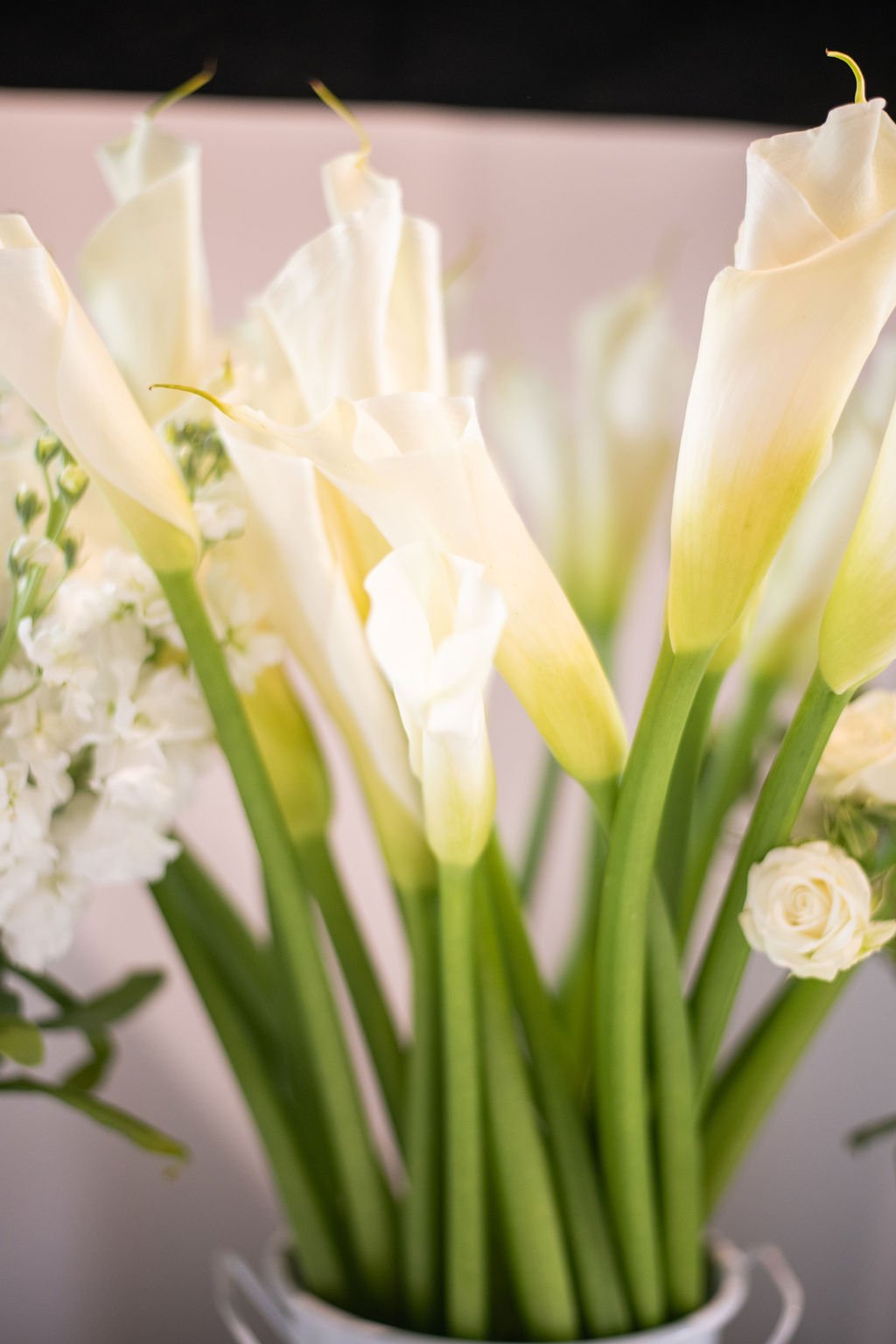 جامعه اجتماعی-عروس -103.jpg