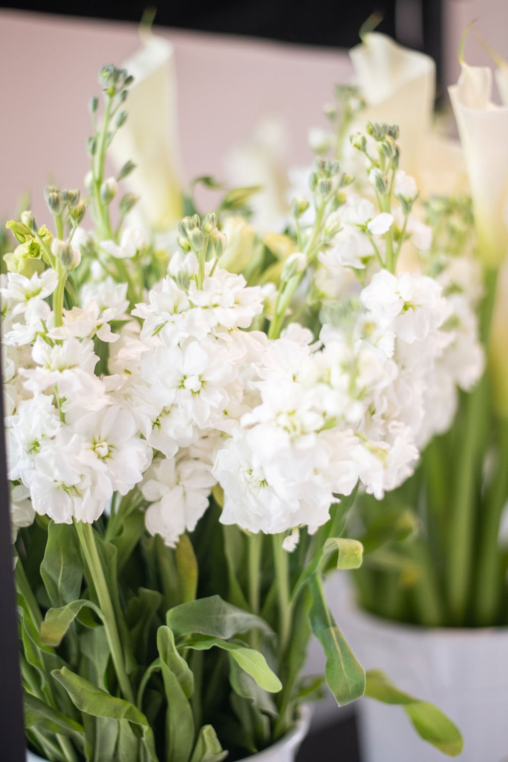 جامعه اجتماعی-عروس -102.jpg