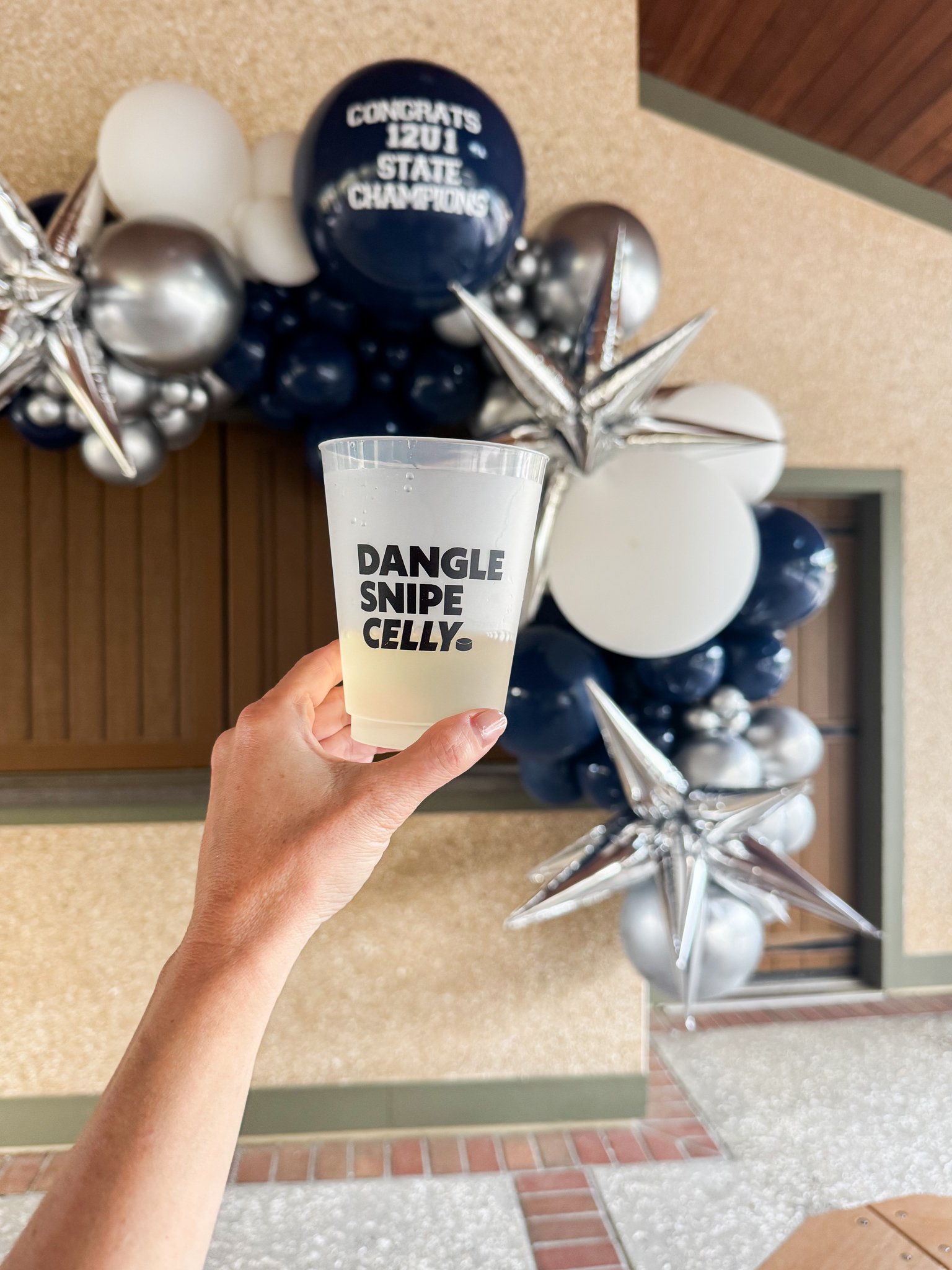 شب هاکی در پونته ودرا ، فلوریدا است 3 1744111989 909 شب هاکی در پونته ودرا ، فلوریدا است