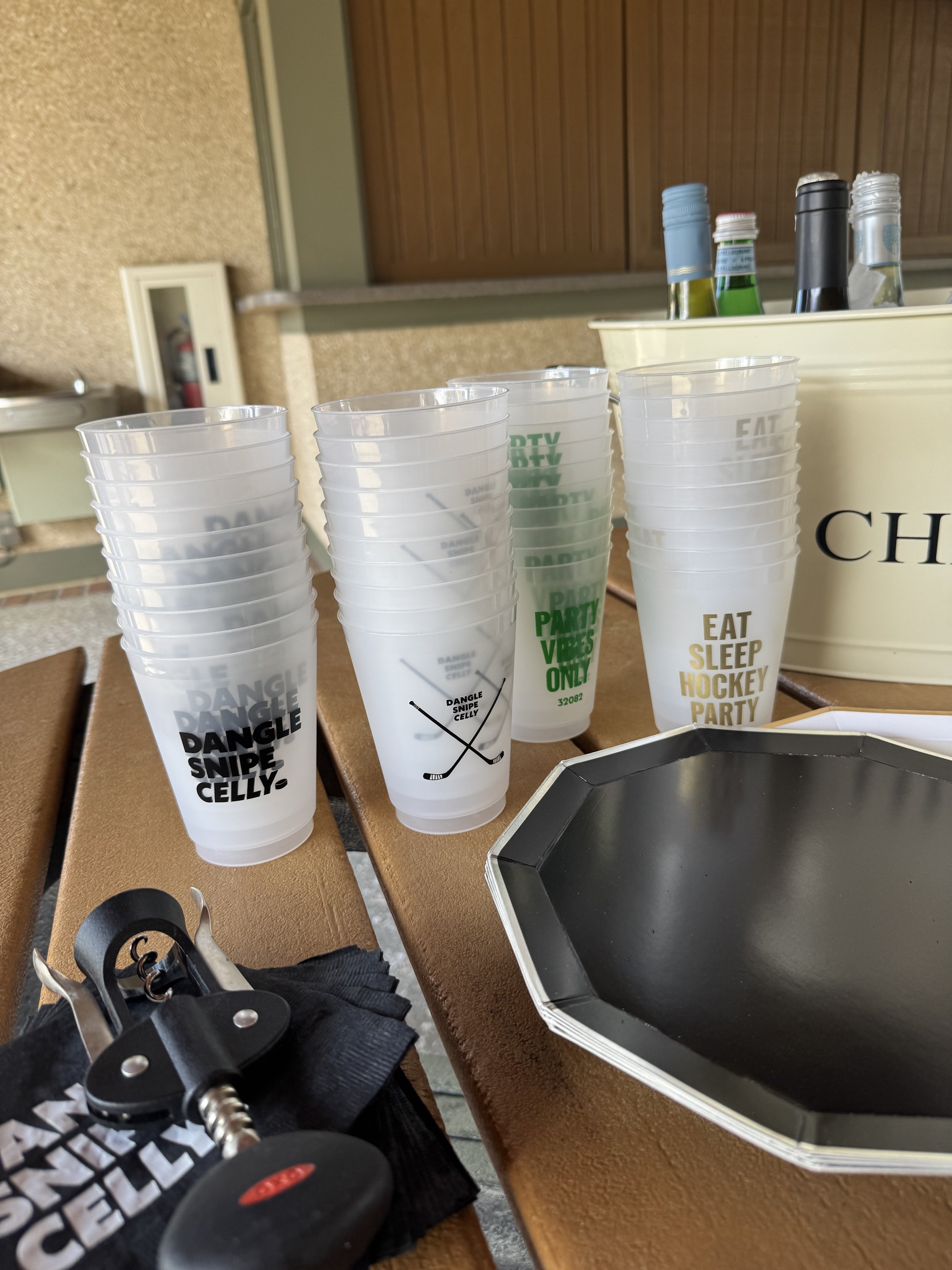 شب هاکی در پونته ودرا ، فلوریدا است 5 img_3485.jpeg