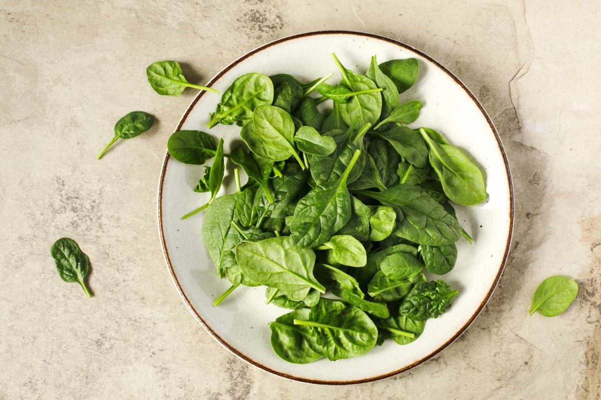 baby spinach on white plate