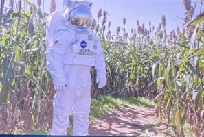 مقابله با تغییرات آب و هوا به طور جمعی موضوع اصلی روزهای شبکه Bühler را تشکیل می دهد