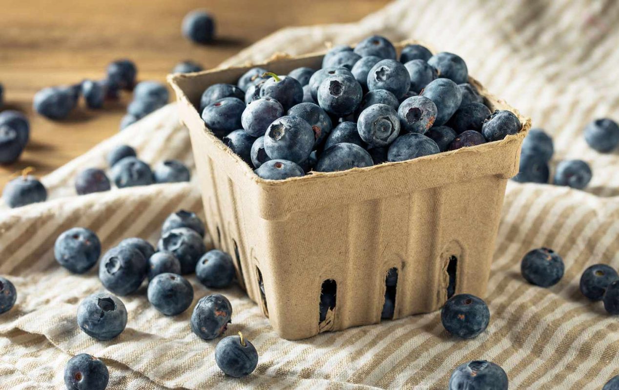 Blueberries in carton