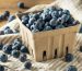 Blueberries in carton