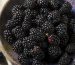blackberries in a ceramaic bowl