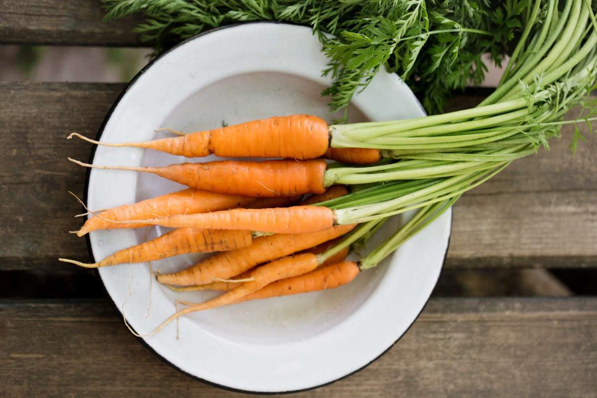 A plate of fresh carrots with greens on a wooden surface