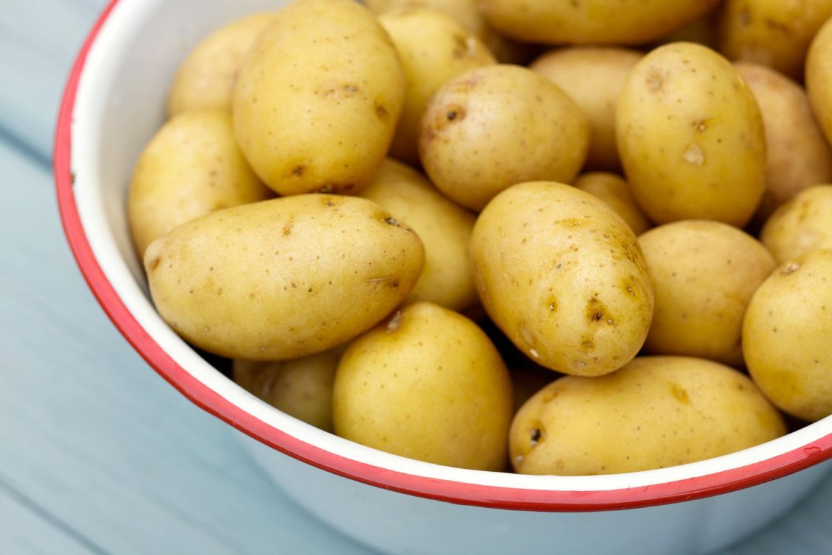 Yukon Gold potatoes