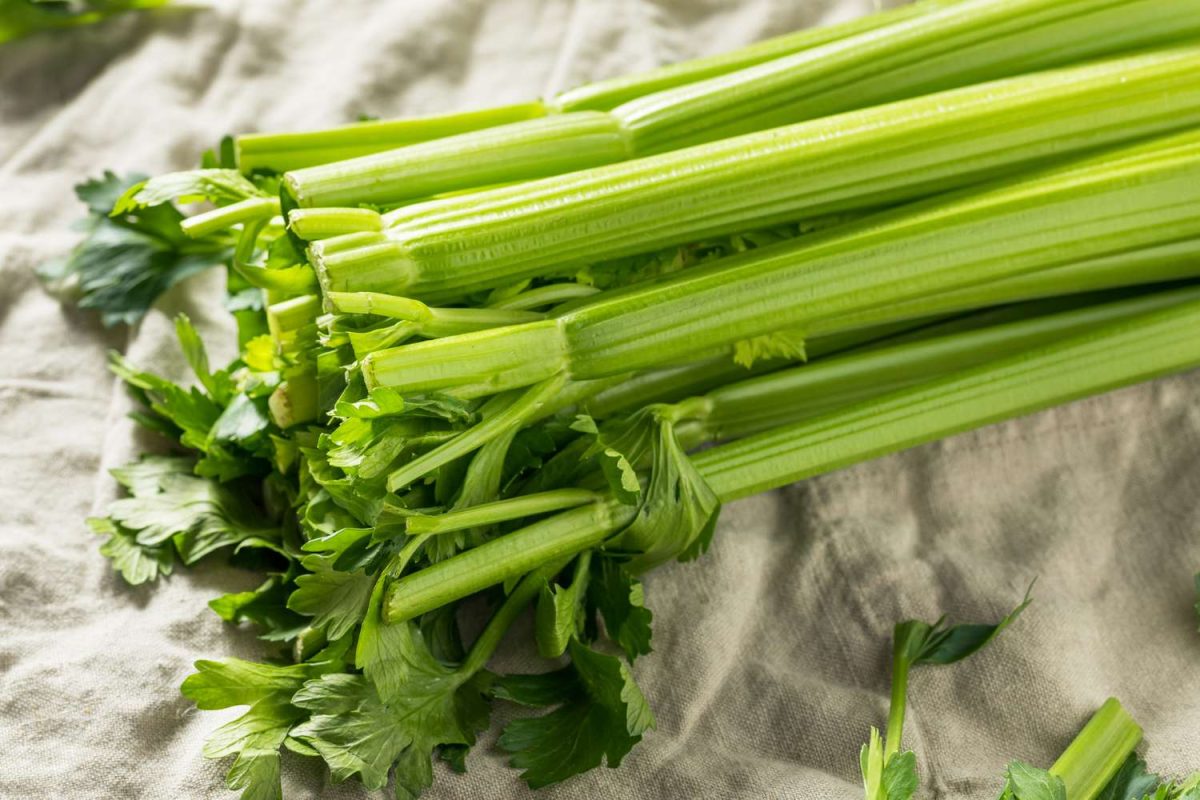 Celery