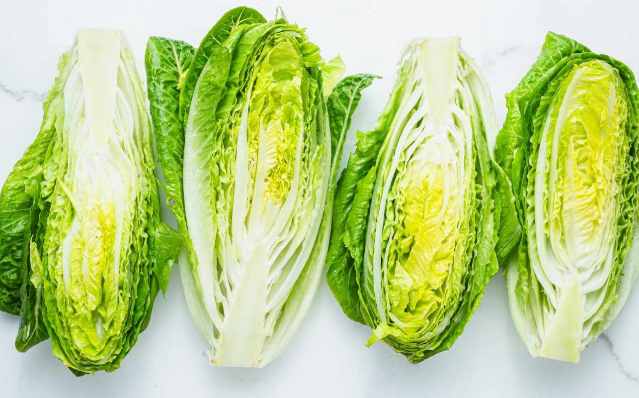 Fresh romaine lettuce on a white table.