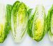 Fresh romaine lettuce on a white table.